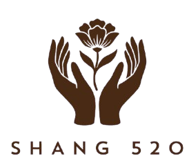Shang 520
